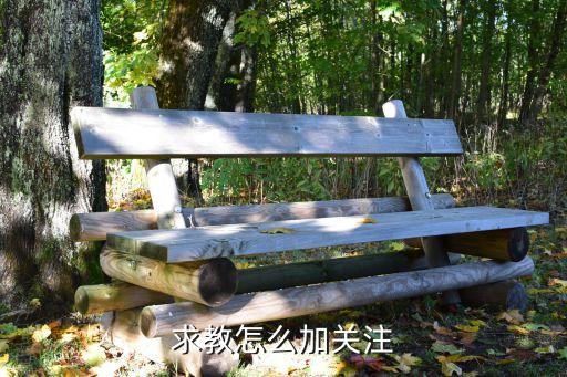 求教怎么加关注