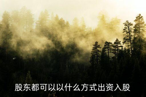 股东都可以以什么方式出资入股