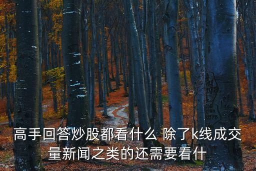 投资股票应该看什么，炒股需要看什么