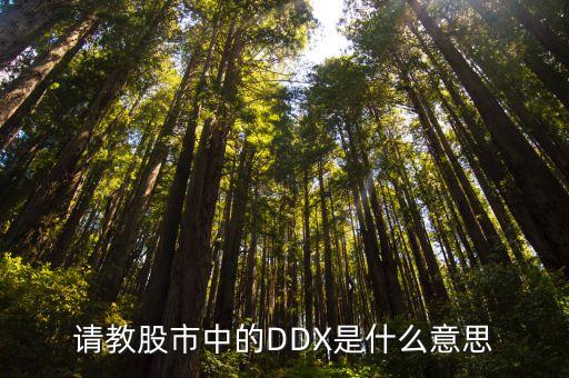 请教股市中的DDX是什么意思