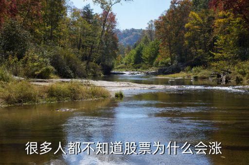 很多人都不知道股票为什么会涨