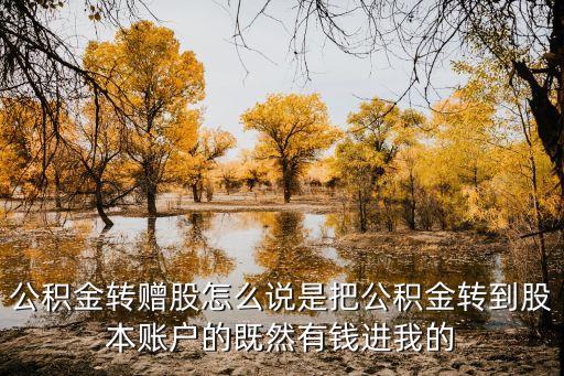 公积金转赠股票公式是什么，公积金转赠股怎么说是把公积金转到股本账户的既然有钱进我的