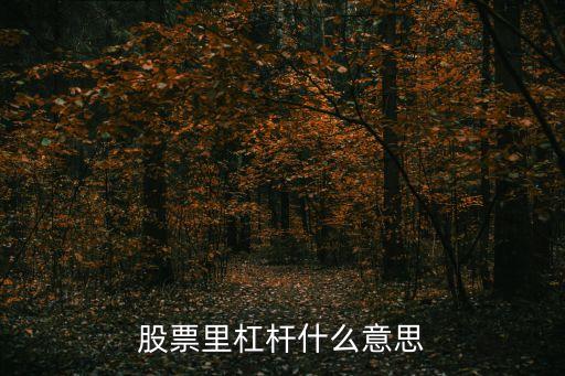 股票里杠杆什么意思