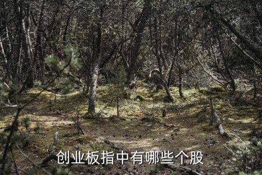 创业板指中有哪些个股