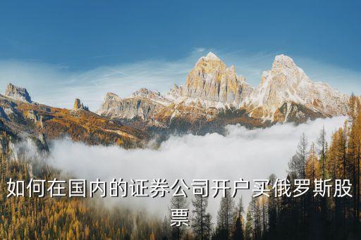 什么卷商支持俄罗斯股票，有个叫俄罗斯什么期货指数哪个平台能做