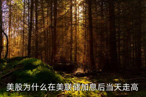 美股为什么在美联储加息后当天走高