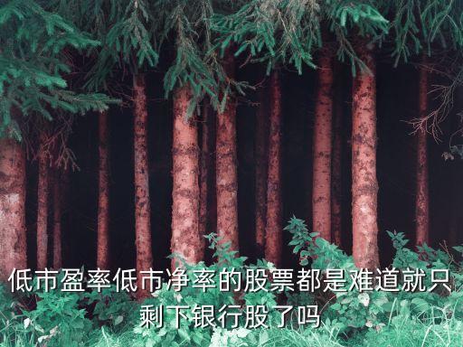 低市盈率低市净率的股票都是难道就只剩下银行股了吗