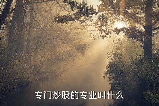 做股票叫什么职业好，帮人炒股的人我们称他是什么职业啊