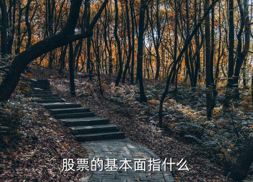 股票的基本面指什么