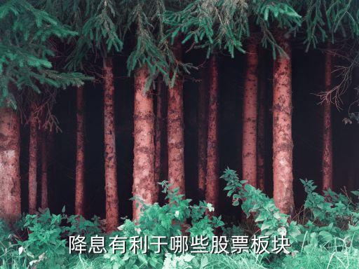 美国降息应该买什么股票，降息有利于哪些股票板块