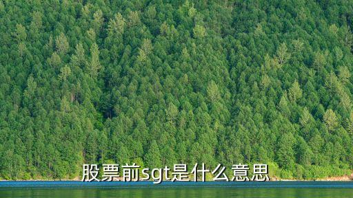 股票前sgt是什么意思