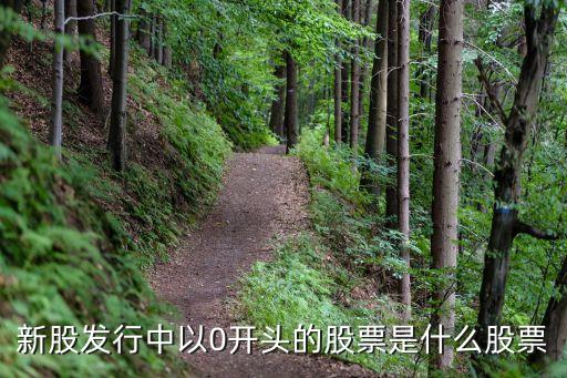 新股发行中以0开头的股票是什么股票