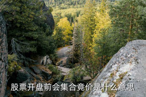 股票开盘前会集合竟价是什么意思