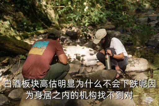 白酒板块高估明显为什么不会下跌呢因为身居之内的机构找不到对