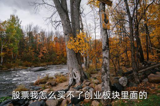 股票我怎么买不了创业板块里面的