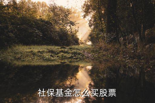 社保基金怎么买股票