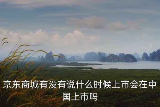 京东商城有没有说什么时候上市会在中国上市吗