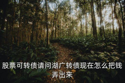 股票可转债请问湖广转债现在怎么把钱弄出来