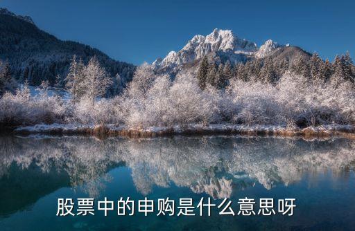 股票中的申购是什么意思呀