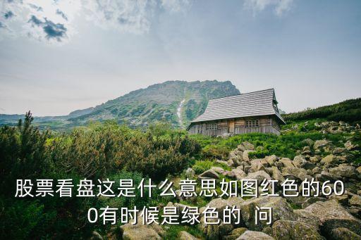 股票看盘这是什么意思如图红色的600有时候是绿色的  问
