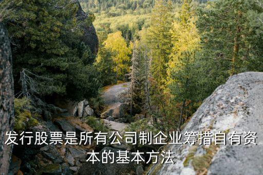 发行股票是什么策略，股票的发行方式是什么意思