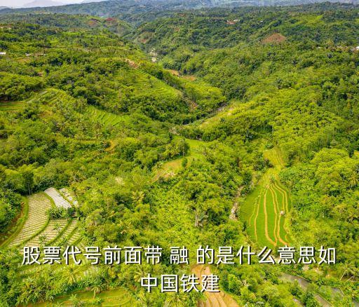 股票代号前面带 融 的是什么意思如中国铁建