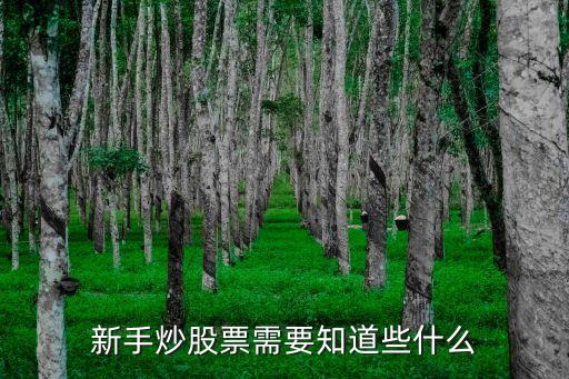 新手炒股票需要知道些什么