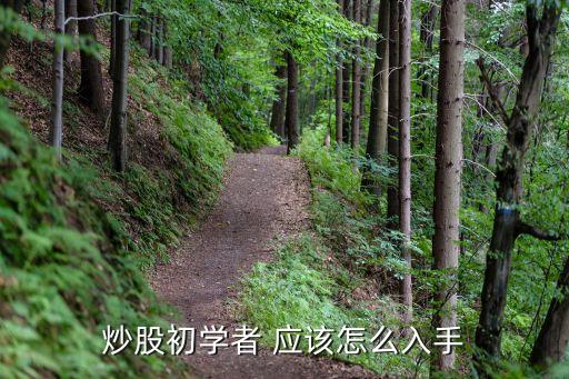 炒股初学者 应该怎么入手