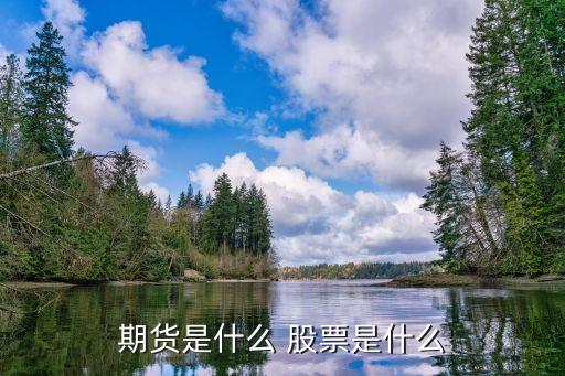 期货是什么 股票是什么