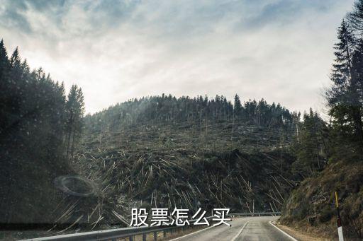 股票怎么买