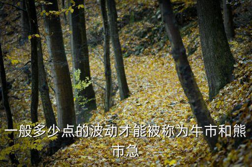 一般多少点的波动才能被称为牛市和熊市急