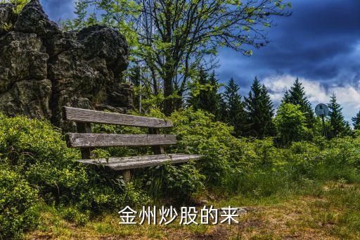 金州炒股的来