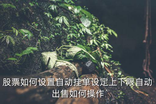 股票如何设置自动挂单设定上下限自动出售如何操作