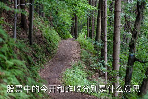 股票中的今开和昨收分别是什么意思