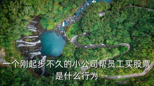 一个刚起步不久的小公司帮员工买股票是什么行为