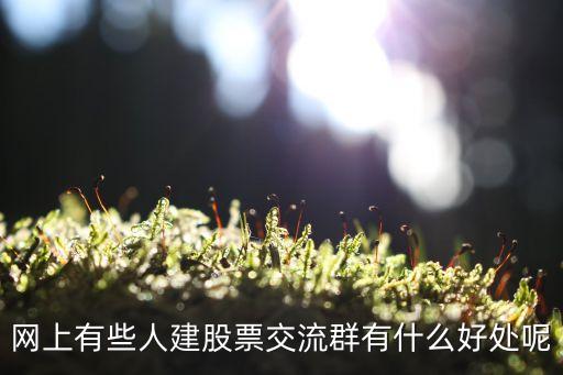 网上有些人建股票交流群有什么好处呢