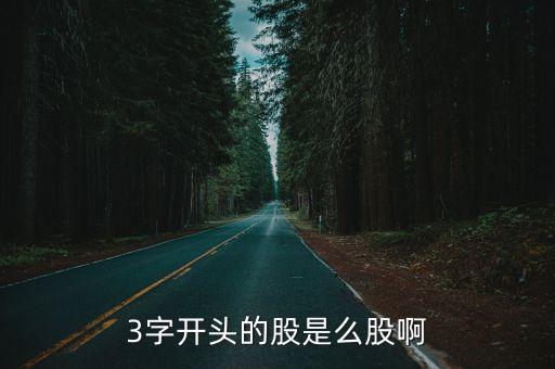3字开头的股是么股啊