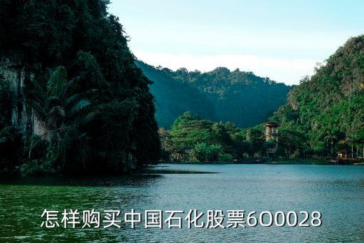 怎样购买中国石化股票6O0028
