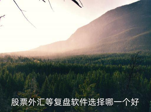 股票外汇等复盘软件选择哪一个好