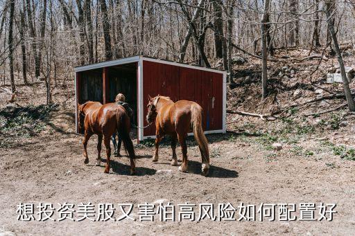 想投资美股又害怕高风险如何配置好