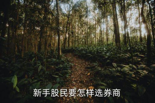 券商股票怎么选股市，新手股民要怎样选券商