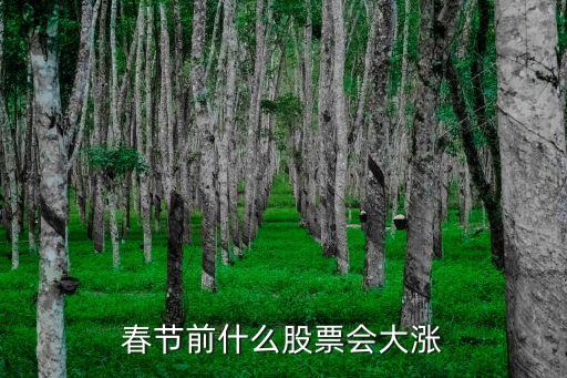 春节前什么股票会大涨