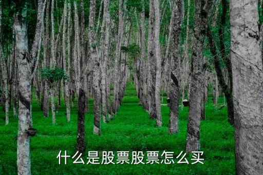 什么是股票股票怎么买