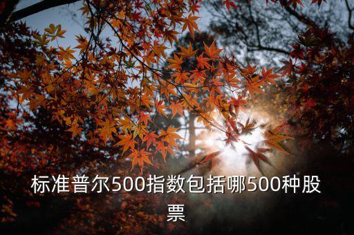 标准普尔500指数包括哪500种股票