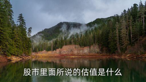 什么是股票估值，股市里面所说的估值是什么