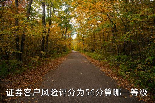 证券客户风险评分为56分算哪一等级