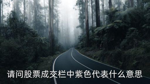 请问股票成交栏中紫色代表什么意思