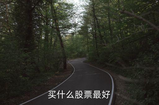 买什么股票好呢，买什么股票最好