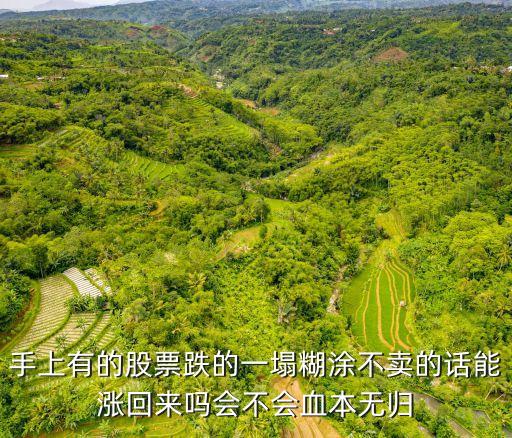 手上有的股票跌的一塌糊涂不卖的话能涨回来吗会不会血本无归