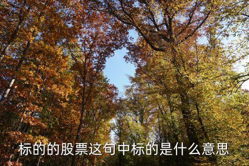 股票中的标的是什么意思，股票中的标的是什么意思用简单的话描述下